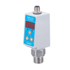 HPM560( HPM560J) Anolog With PNP/NPN/Relay Output Intelligent Pressure Switch 