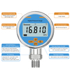 HPE81 Digital pressure gauge ±0.25% Accuracy for Industrial control
