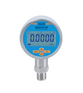 HPE81 Digital pressure gauge &plusmn;0.25% Accuracy for Industrial control